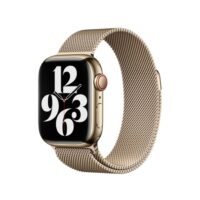 apple watch band milanese